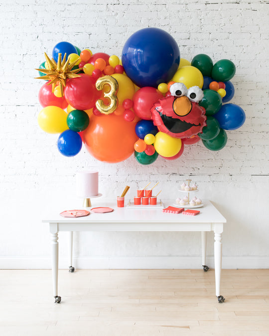 Sesame Street Theme - Elmo Backdrop Balloon Garland Install Piece - 6ft