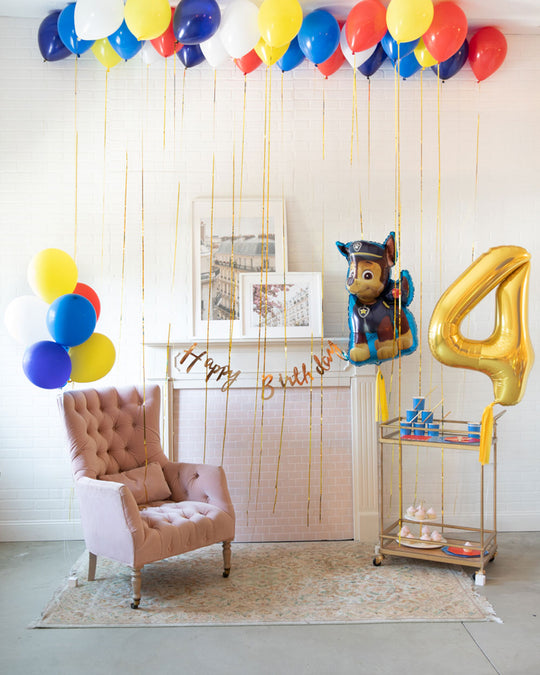 Ruff Rescue -The Party Hit Decor Set