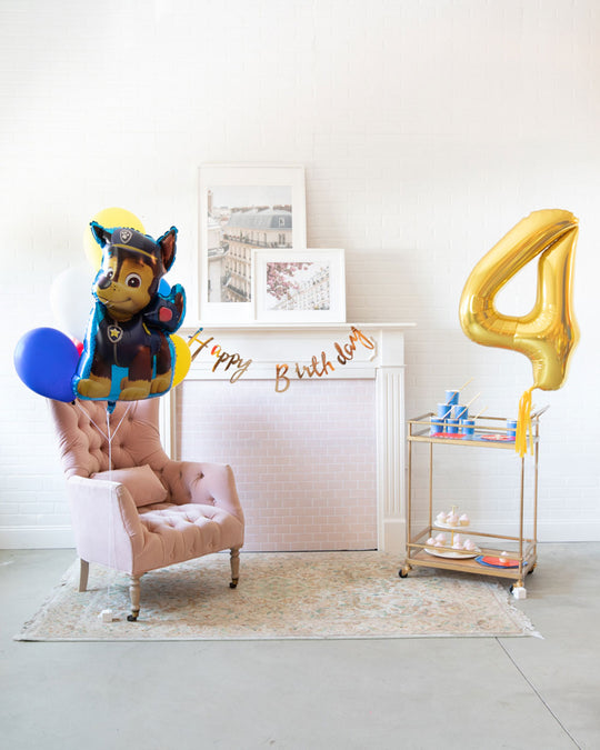 Ruff Rescue  - The Birthday Basics Decor Set