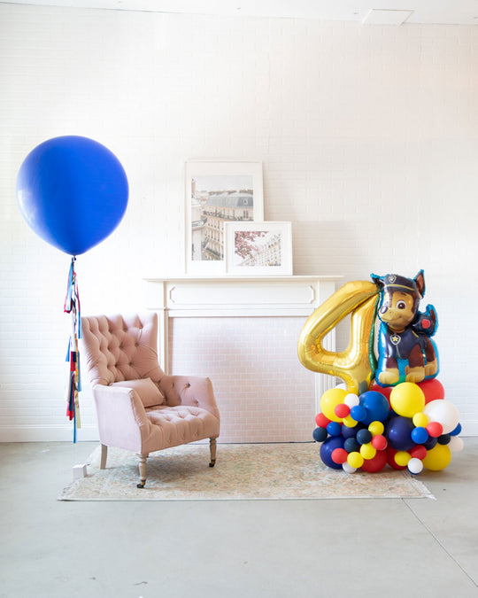 Ruff Rescue - The Delightful Duo Decor Set