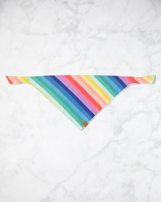 Foggy Dog - Over the Rainbow Dog Bandana