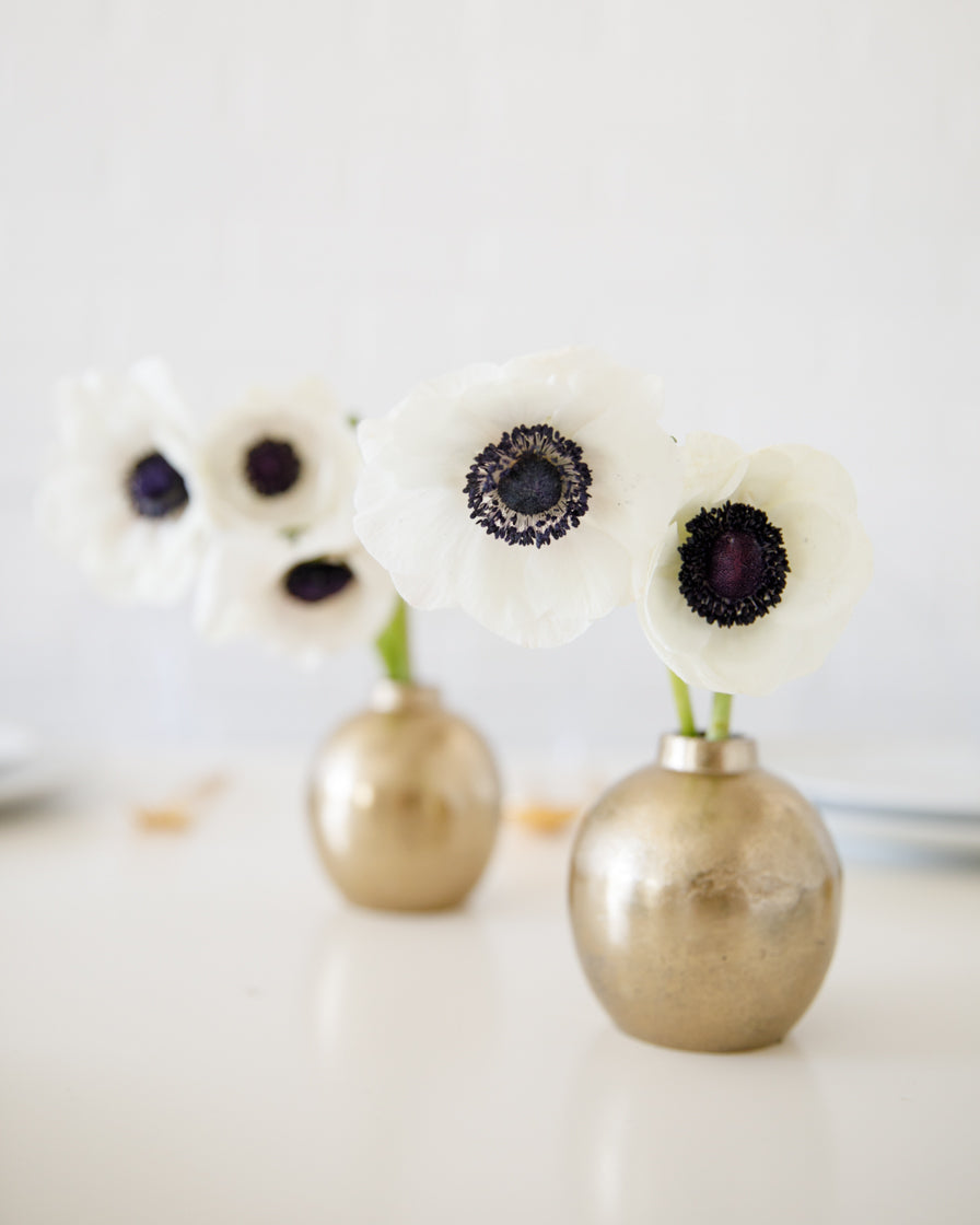 floral-minis-anemone-set