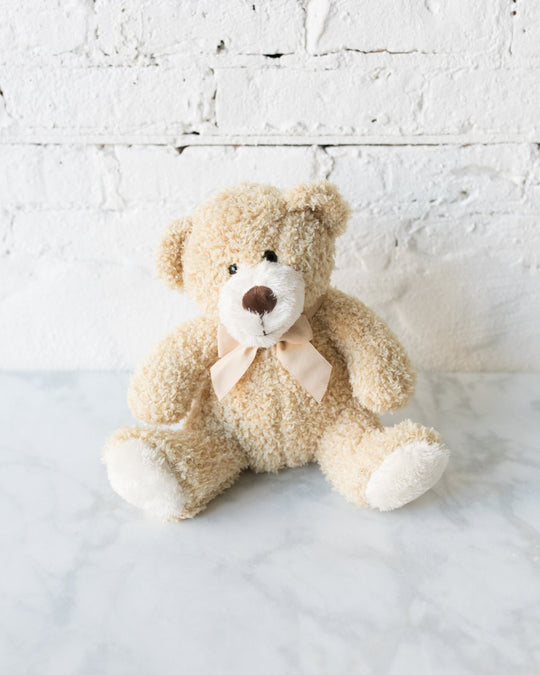 Plush Teddy Bear