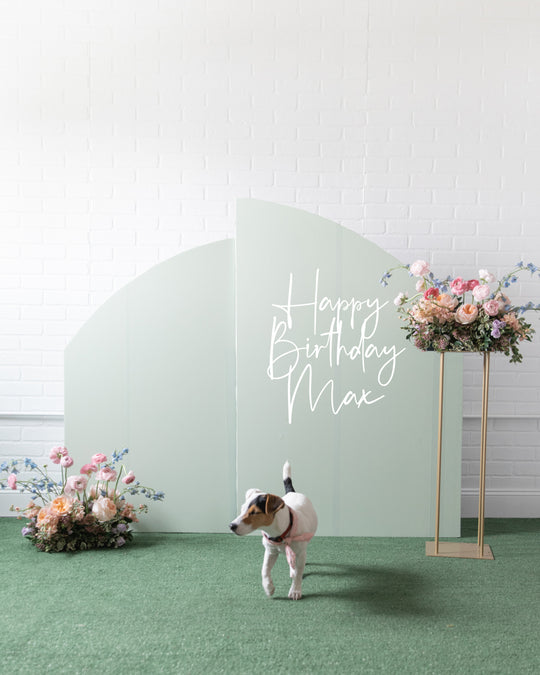 Demure Dog/Couture Cat- The Pawsome Panels