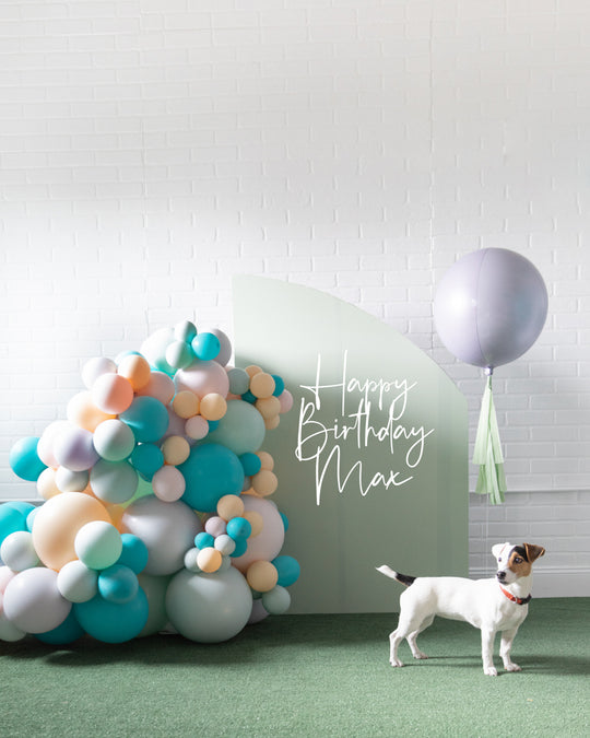 Meowza - The Best in Show