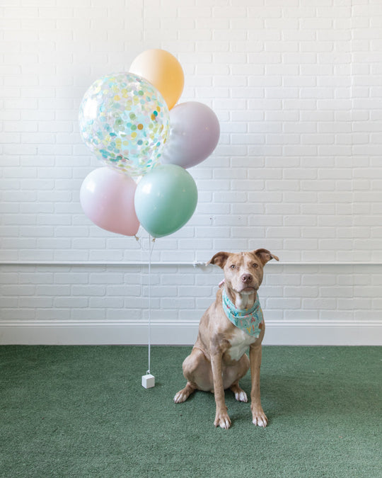 Soft Rainbow - Mini Confetti and 11in Balloons - bouquet of 7