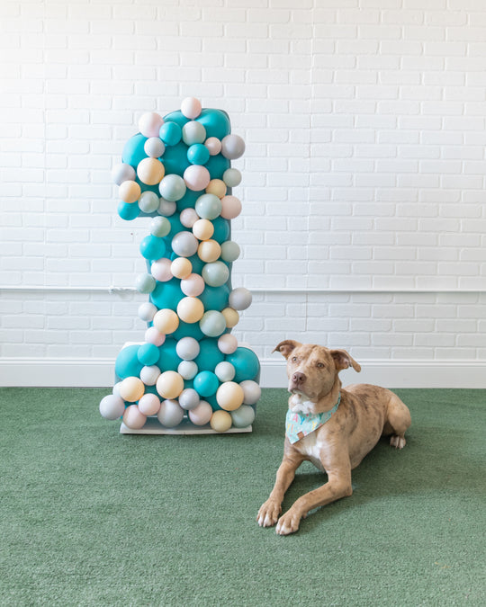 Princess Pooch - Balloon Mosaic - 4ft