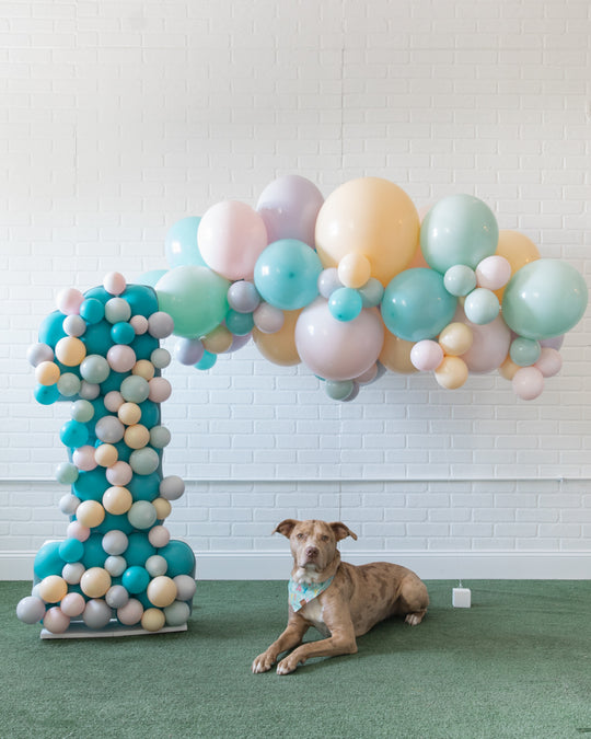 Paw Prince - The Big Bark