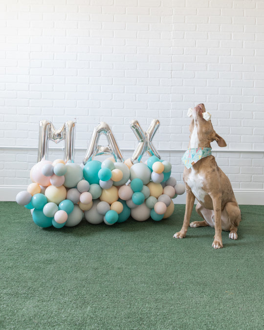 Demure Dog/Couture Cat - Letter Pedestal - 1.5ft