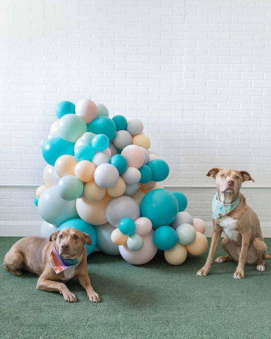 Paw Prince - Organic Balloon Cluster - 3ft