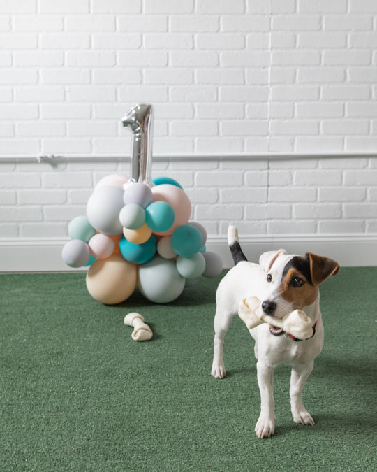 Princess Pooch - Number Pedestal - 1.5ft